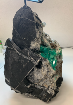 Gabriele Tarroni Longinotti - Homepage Gabriele Tarroni Longinotti - Homepage