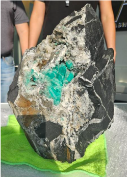 Gabriele Tarroni Longinotti - Homepage Gabriele Tarroni Longinotti - Homepage